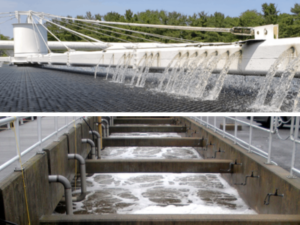 Biological Wastewater Treatment Processes