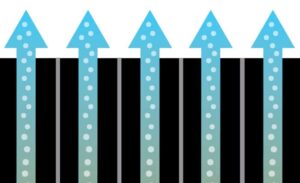 Moving vs. Fixed Biofilm