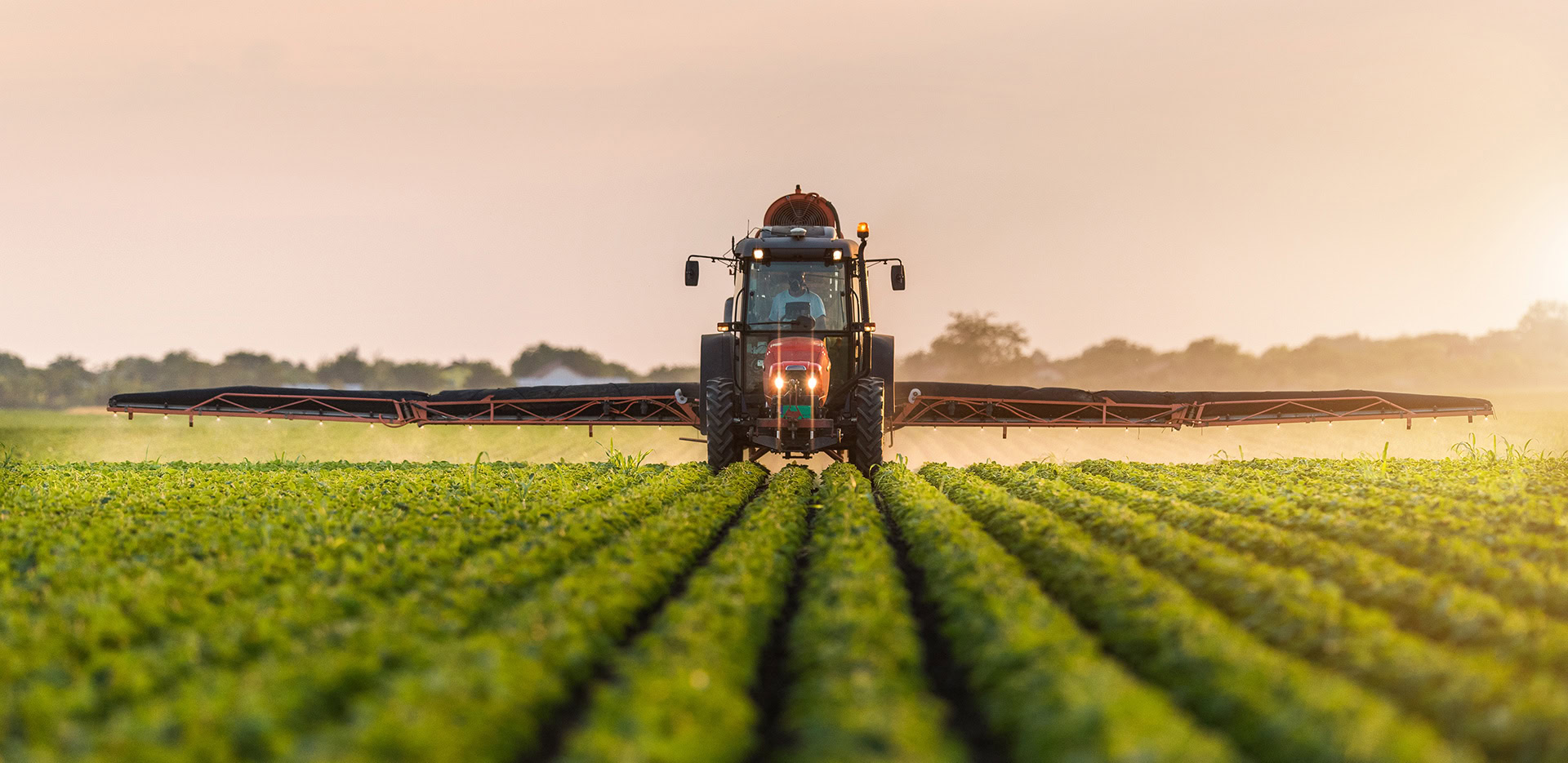 A tractor is driving through a vast green field, nurturing crops with pesticides or fertilizers. The sun is setting in the background, casting a warm glow over the farming scene.