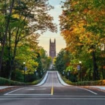 A straight, empty road flanked by trees with autumn foliage leads toward a distant, tall, pointed structure resembling a cathedral or tower.