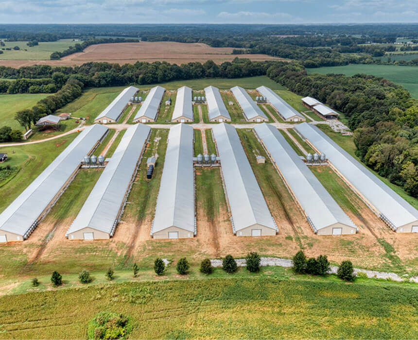 Vista aérea de una granja con múltiples edificios largos y rectangulares dispuestos en hileras paralelas. Alrededor de la granja hay extensos campos verdes y manchas de bosque bajo un cielo azul.