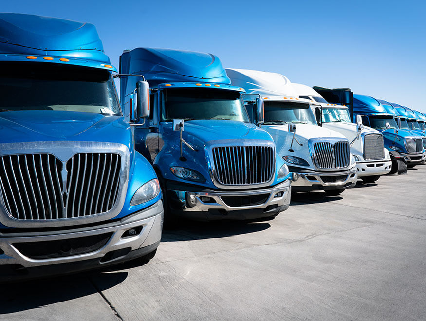 A row of large, parked semi-trucks under a clear blue sky. The trucks, predominantly blue and white, are arranged in a neat line on a paved surface.