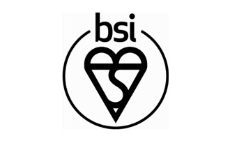 bsi logo