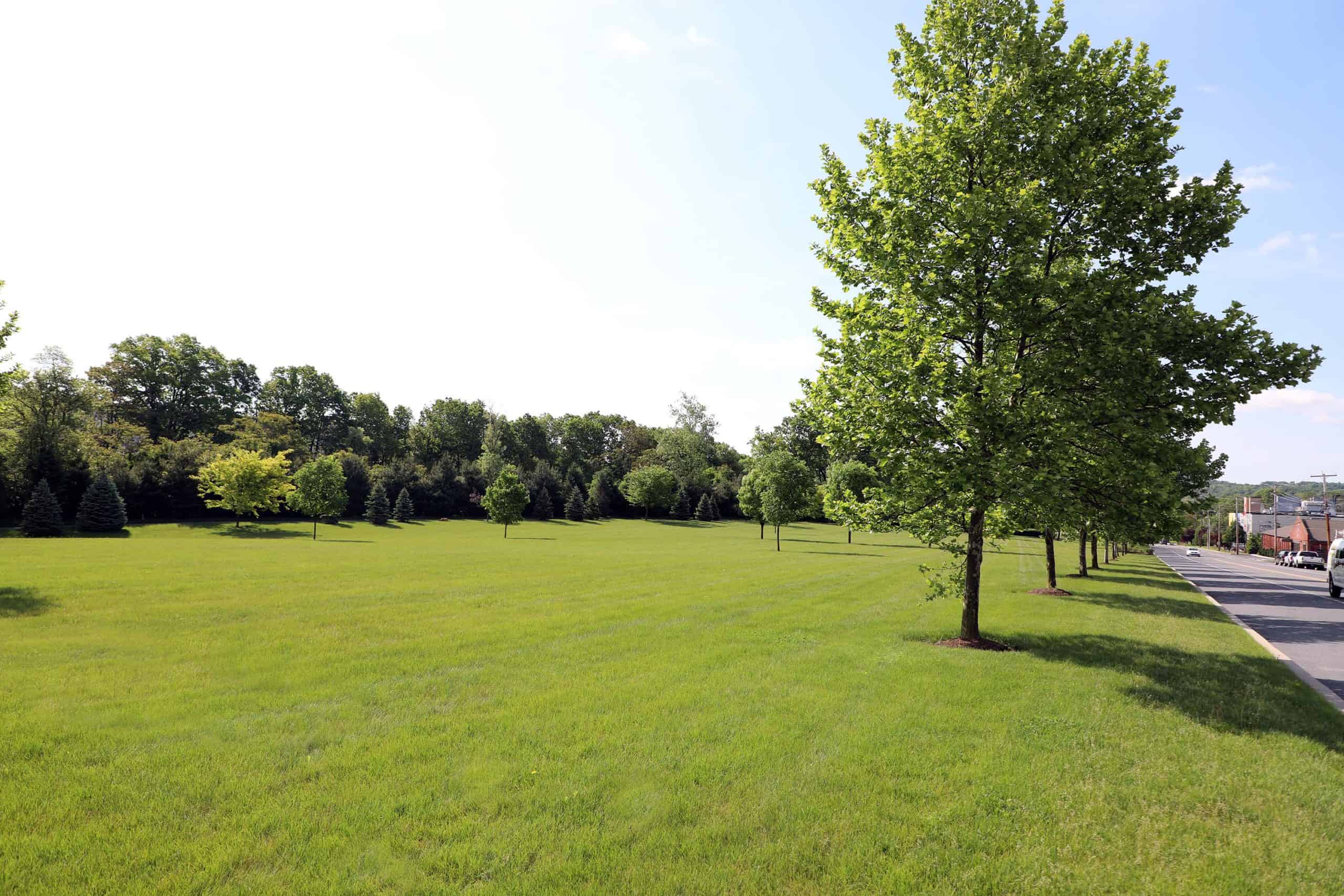 A large, open green field bordered by neatly trimmed trees on a sunny day reflects the principles of sustainability. The lush grass and clear sky with scattered clouds create a peaceful environment.